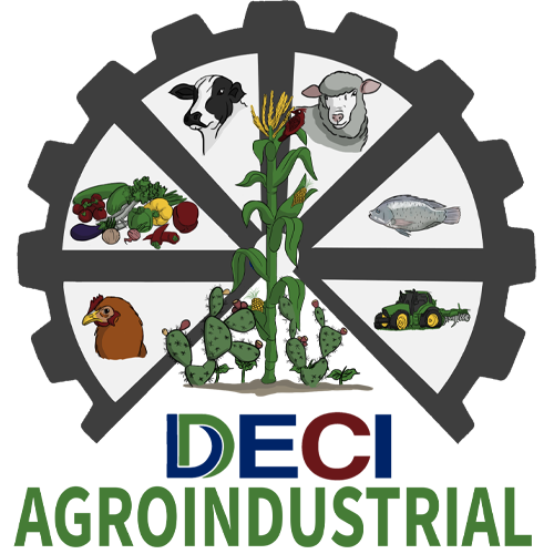 logotipo deci